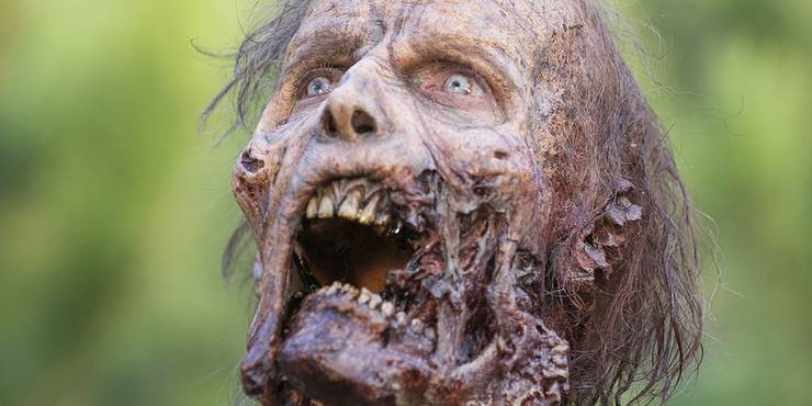 The Walking Dead 10 Things About The Zombies That Dont Make Sense The Walking Dead 10 Things About The Zombies That Dont Make Sense